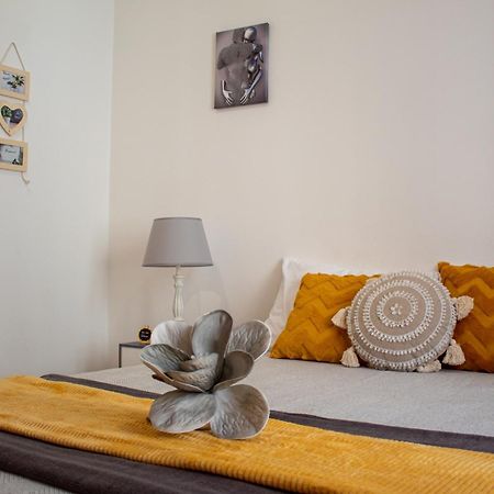 Casa Amarela - Conforto E Localizacao Central! 파로 외부 사진
